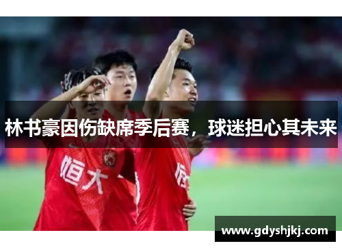 林书豪因伤缺席季后赛，球迷担心其未来