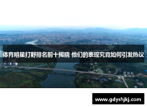体育明星打野排名前十揭晓 他们的表现究竟如何引发热议